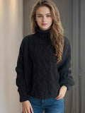 Cable-Knit Turtleneck Long Sleeve Sweater - Trendsi - Flyclothing LLC