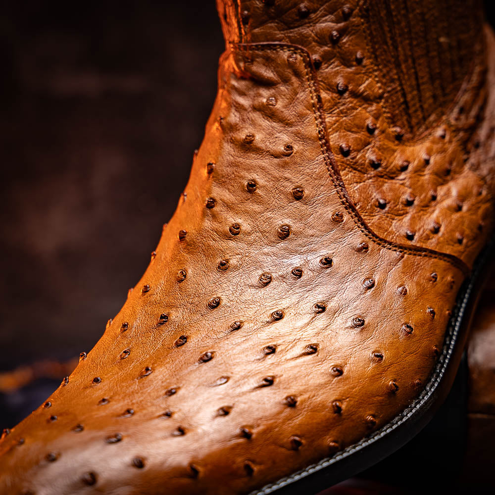 Giorgio Brandy - Marco Di Milano - Flyclothing LLC