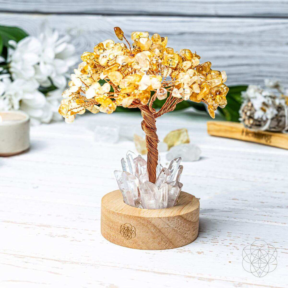 Golden Lamp of Wealth - Citrine Tree - Conscious Items - Flyclothing LLC