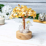 Golden Lamp of Wealth - Citrine Tree - Conscious Items - Flyclothing LLC