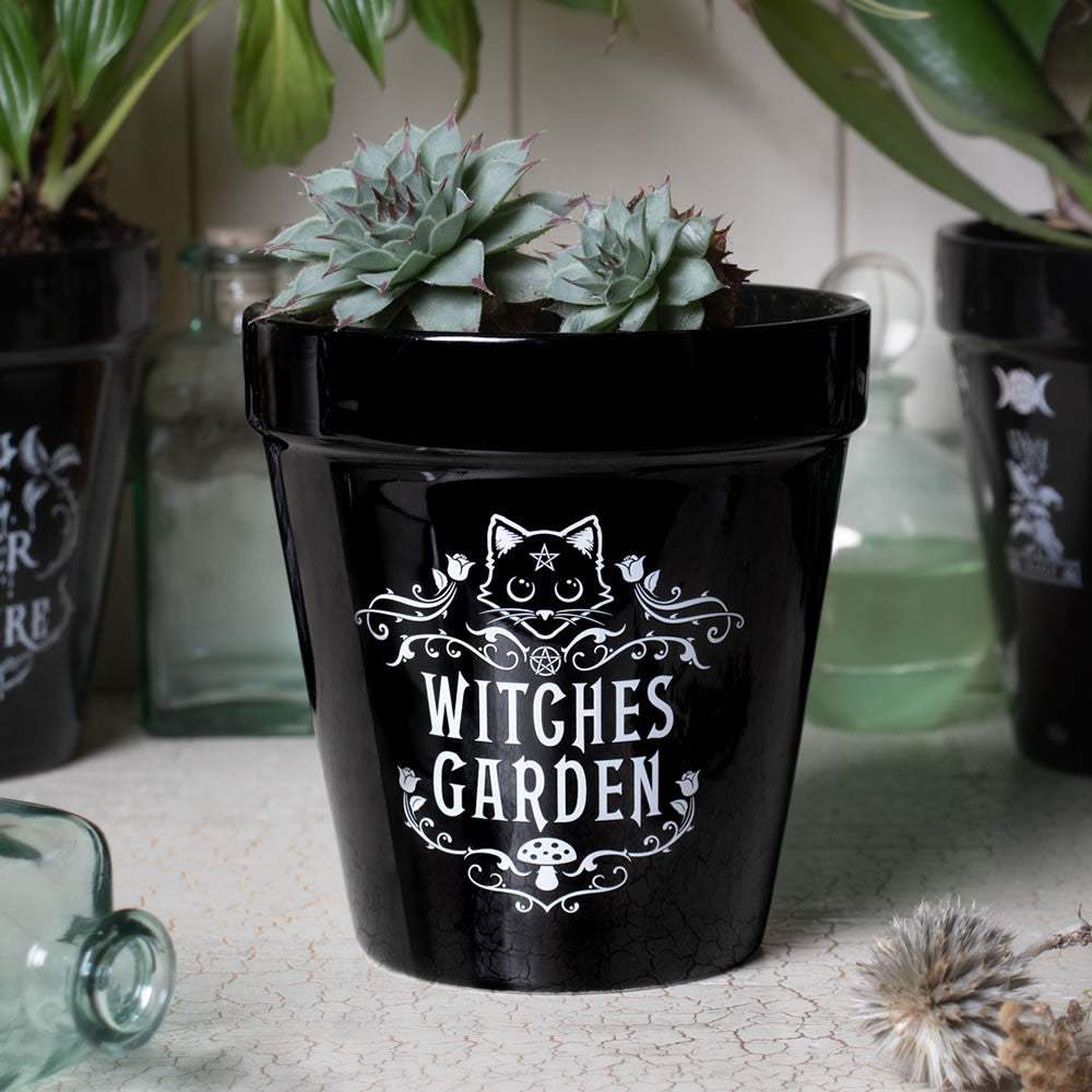 Witches Garden Plant Pot - Alchemy of England - Flyclothing LLC