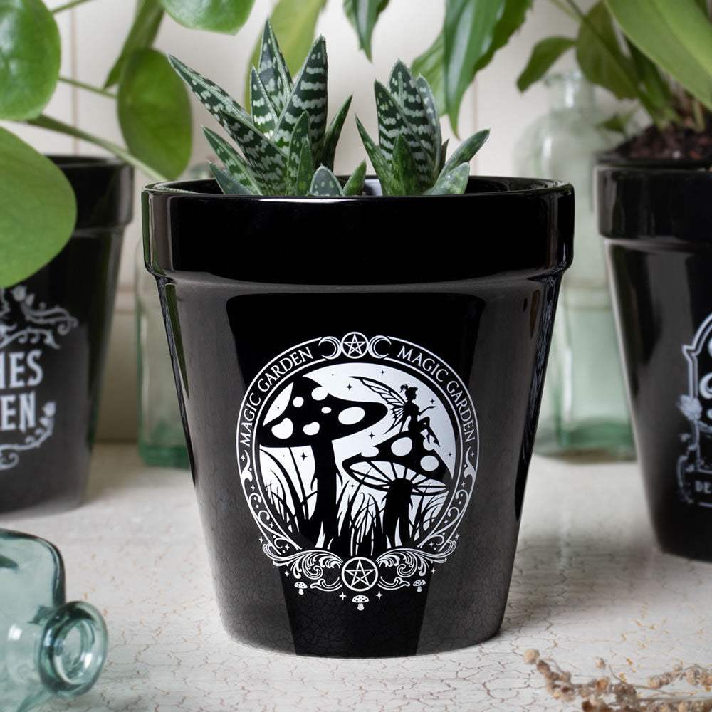 Magic Garden Plant Pot - Alchemy of England - Flyclothing LLC