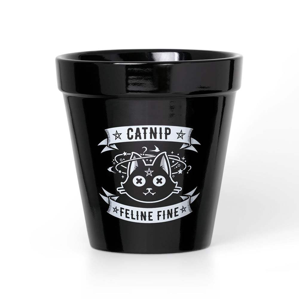 Catnip Plant Pot - Alchemy of England - Flyclothing LLC