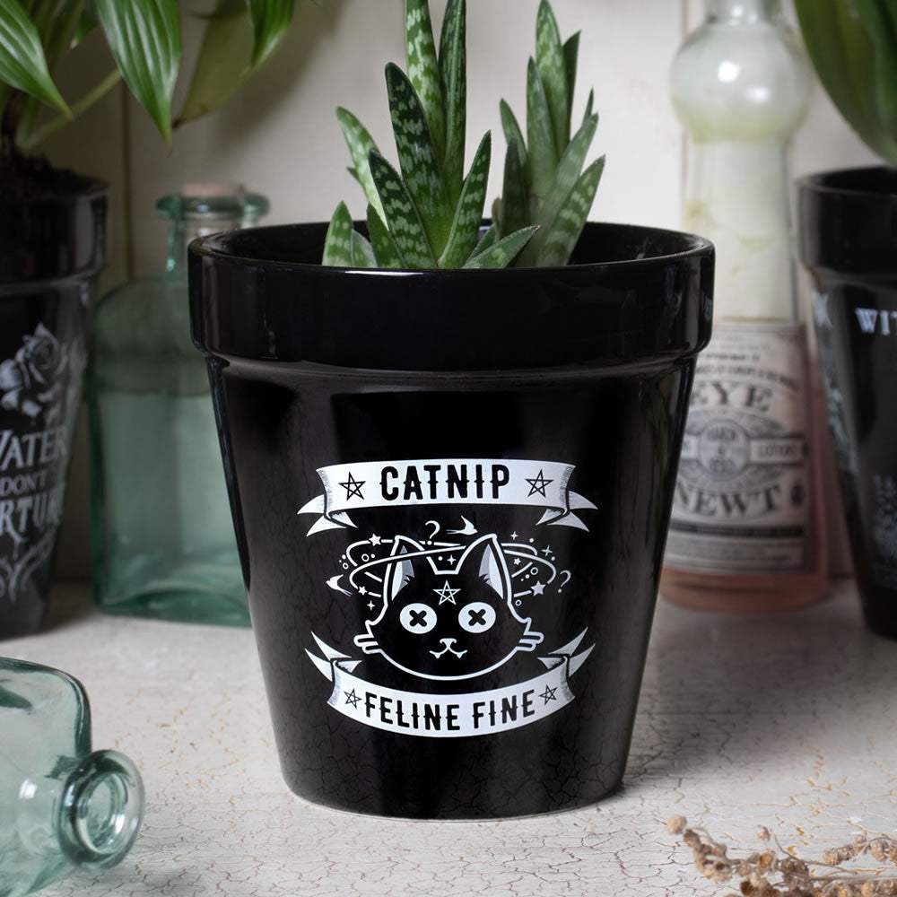 Catnip Plant Pot - Alchemy of England - Flyclothing LLC