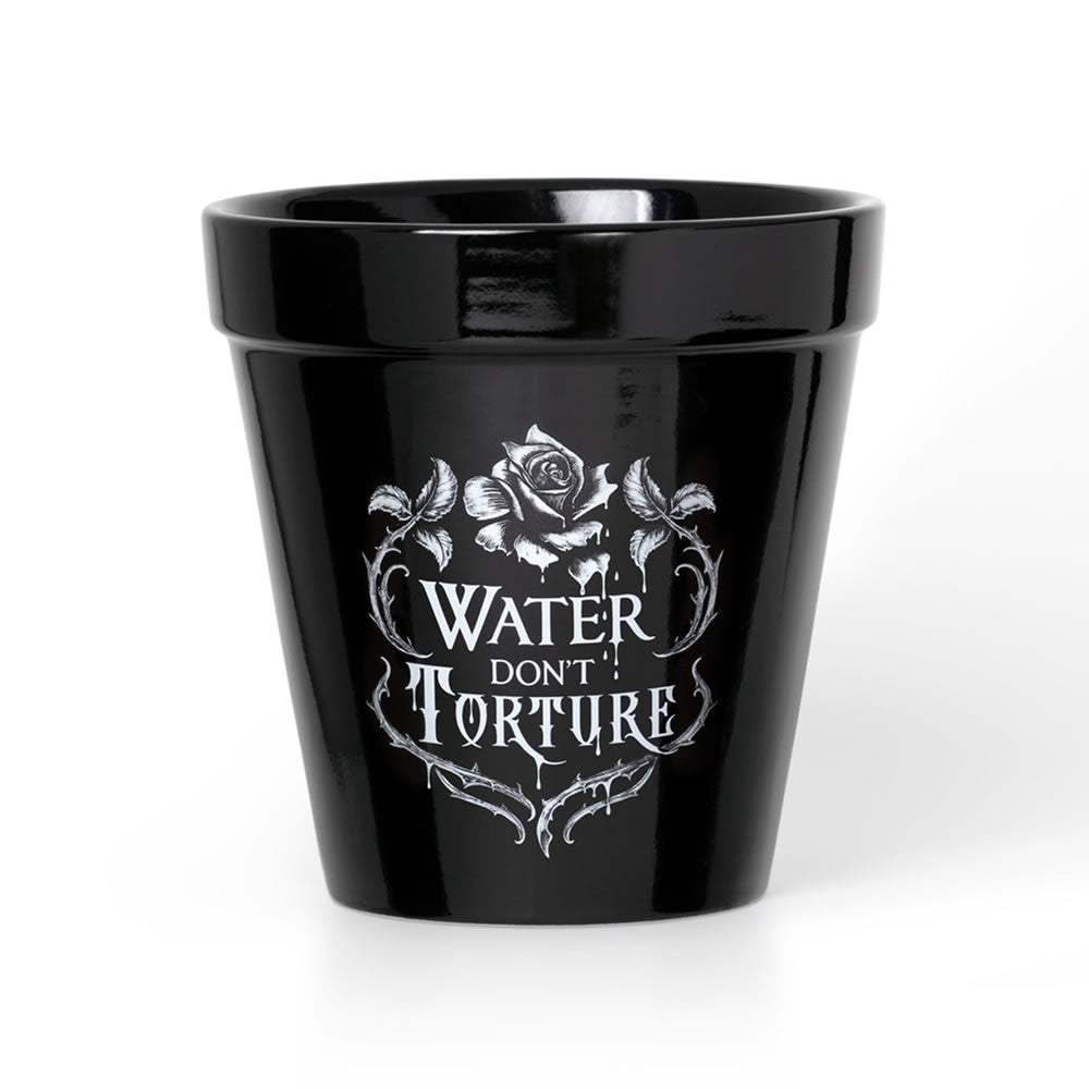 Water Don't Torture Plant Pot - Alchemy of England - Flyclothing LLC