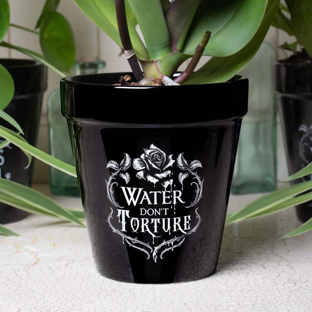 Water Don't Torture Plant Pot - Alchemy of England - Flyclothing LLC
