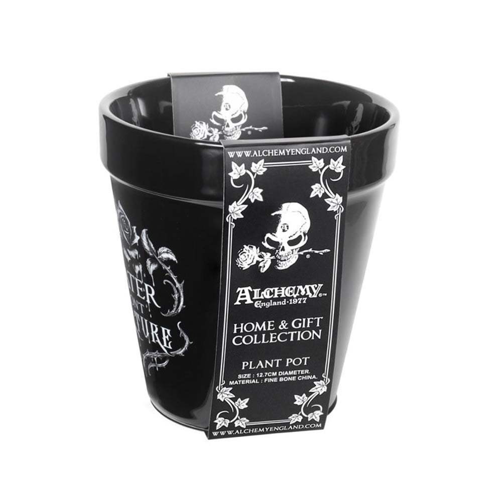Water Don't Torture Plant Pot - Alchemy of England - Flyclothing LLC