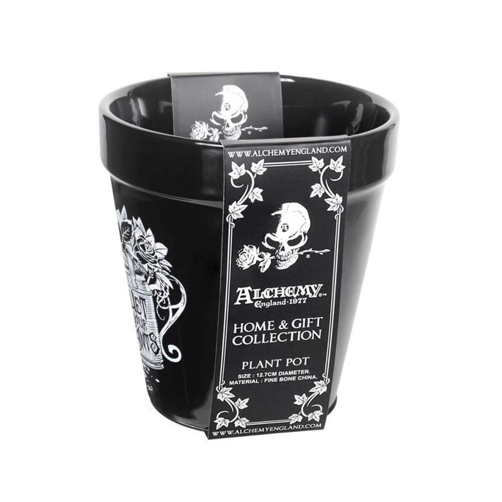 Wet Your Plants Plant Pot - Alchemy of England - Flyclothing LLC