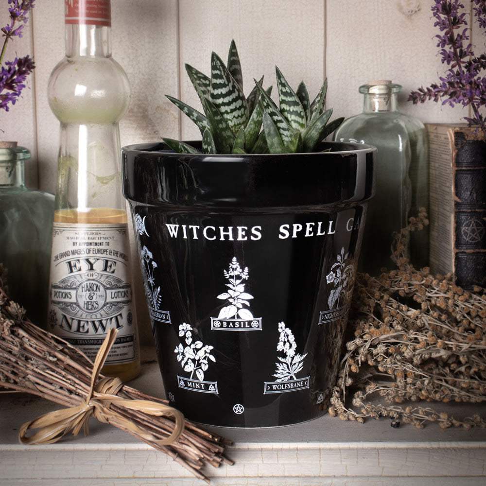 Witches Spell Garden Plant Pot - Alchemy of England - Flyclothing LLC