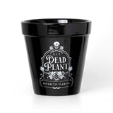 Dead Plant Plant Pot - Alchemy of England - Flyclothing LLC