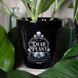 Dead Plant Plant Pot - Alchemy of England - Flyclothing LLC