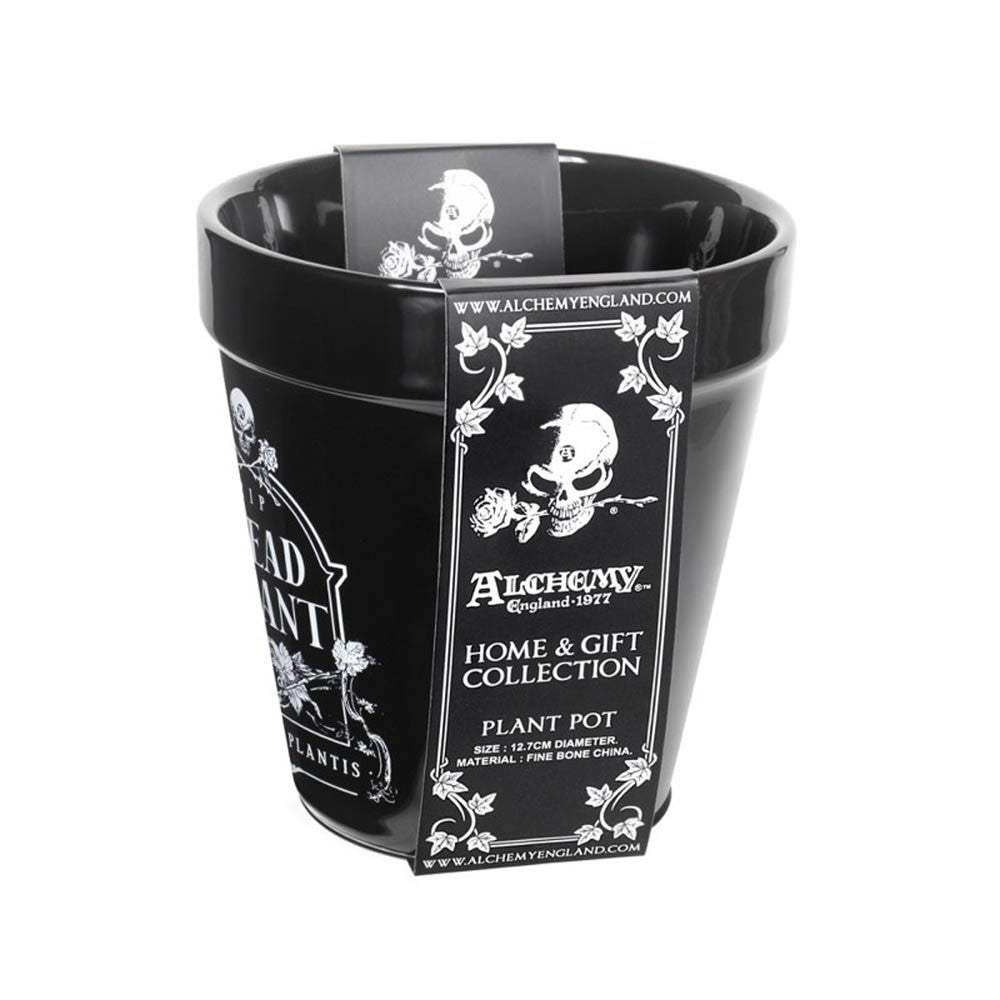 Dead Plant Plant Pot - Alchemy of England - Flyclothing LLC