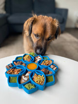 Mandala eTray Shallow Slow Feeder Dog Bowl for Enrichment | USA Made - SodaPup/True Dogs, LLC - Flyclothing LLC