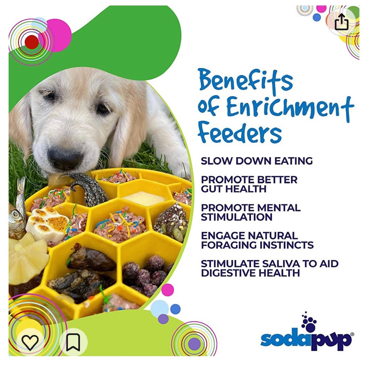 Honeycomb eBowl Deep Slow Feeder Dog Bowl for Enrichment | USA Made - SodaPup/True Dogs, LLC - Flyclothing LLC