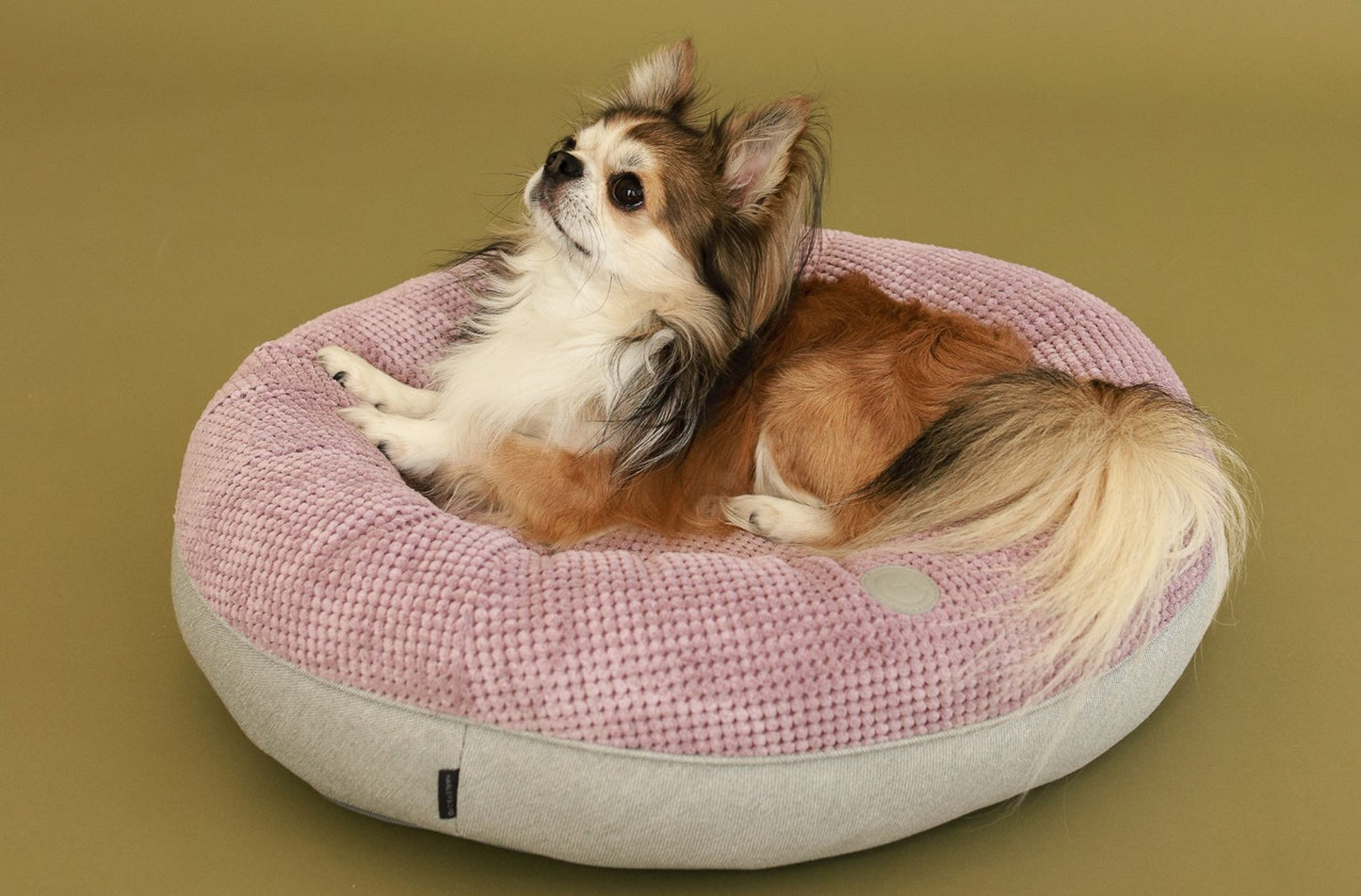 Chester & Lee | Light Pink Donut Dog Bed - Chester & Lee - Flyclothing LLC