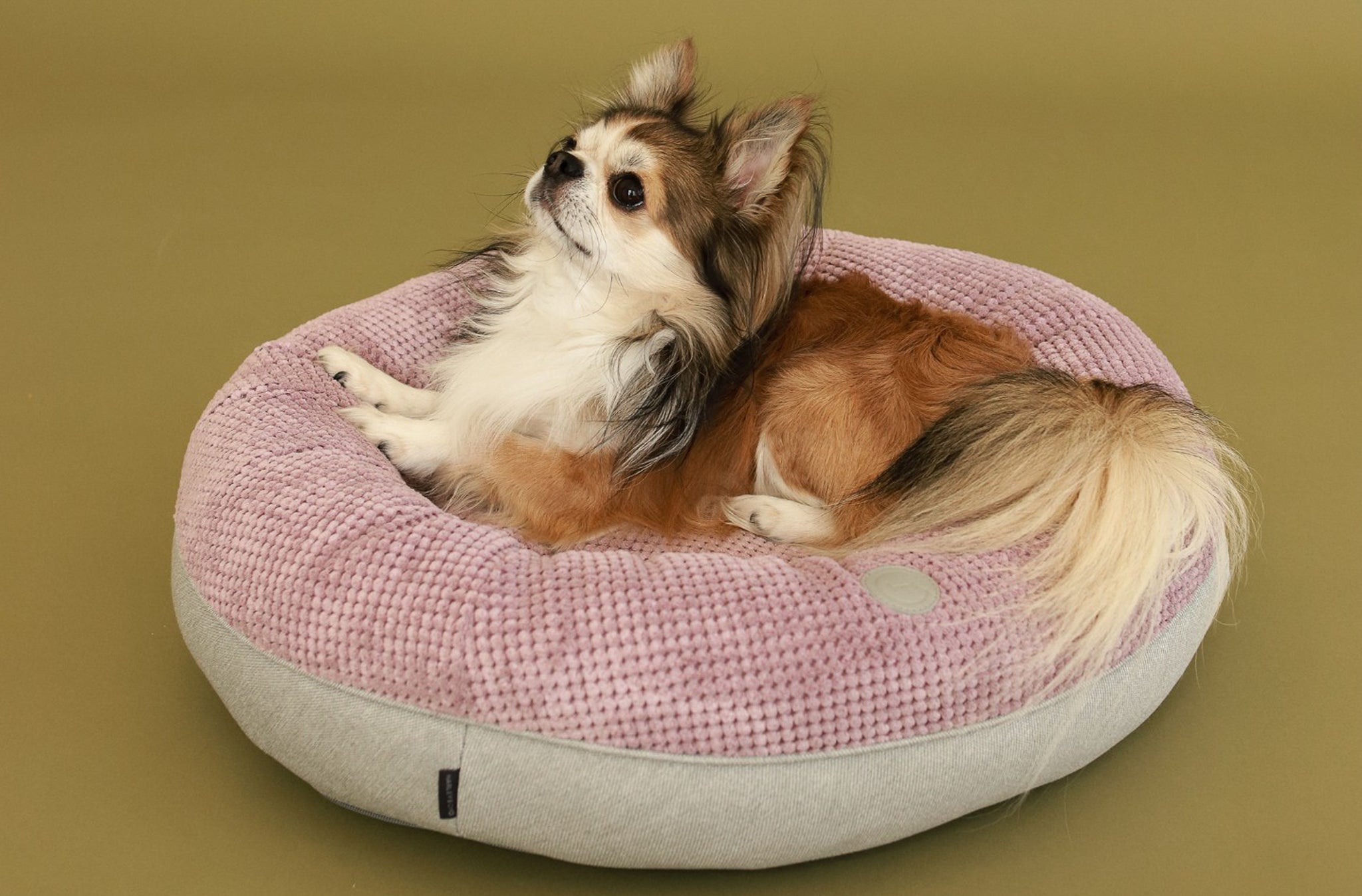 Chester & Lee | Light Pink Donut Dog Bed - Chester & Lee - Flyclothing LLC