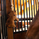 TuffRider Horse Head Horse Toy - Breeches.com - Flyclothing LLC