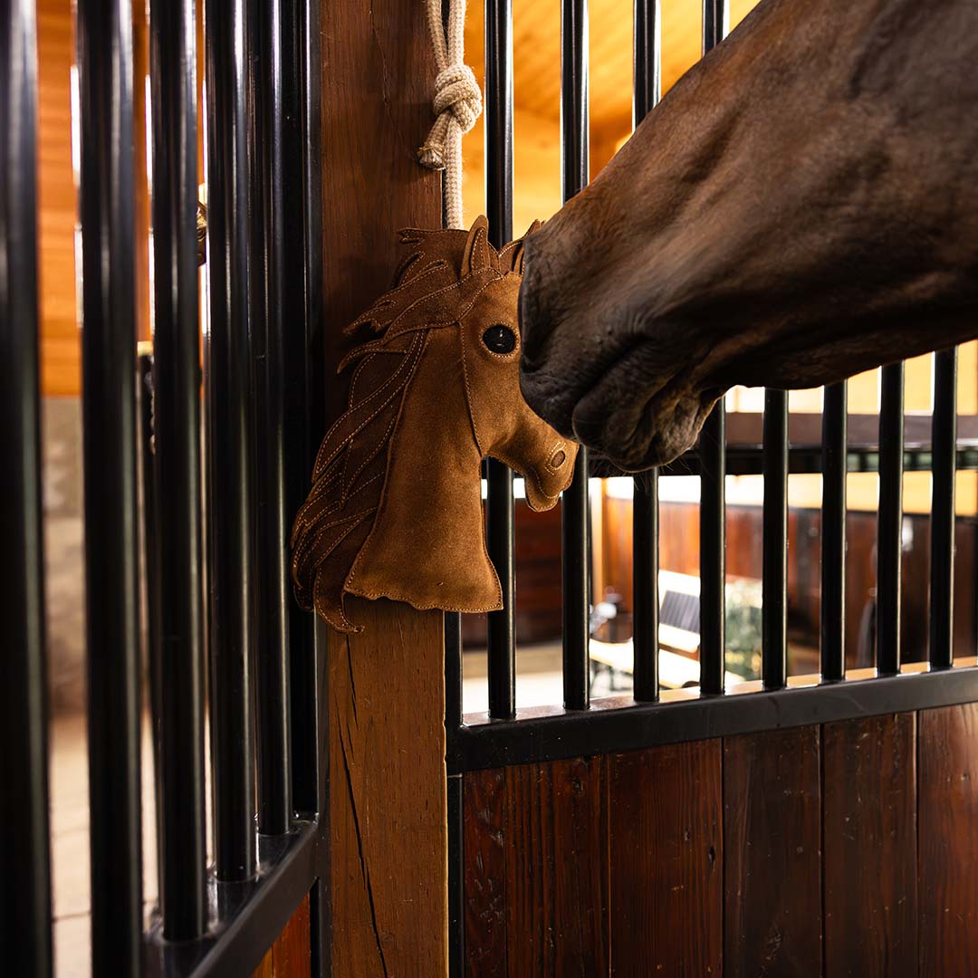 TuffRider Horse Head Horse Toy - Breeches.com - Flyclothing LLC