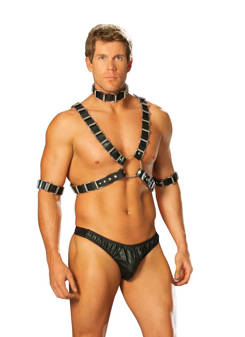 Elegant Memories Black 4 Pc Mens Set Harness & Collar L9663