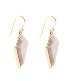 Lafayette Fossilized Coral Earrings