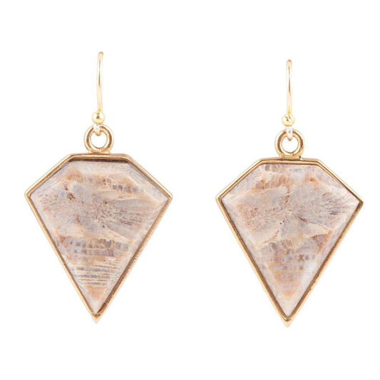 Lafayette Fossilized Coral Earrings - Barse Jewelry - Flyclothing LLC
