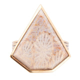 Lafayette Fossilized Coral Ring - Barse Jewelry