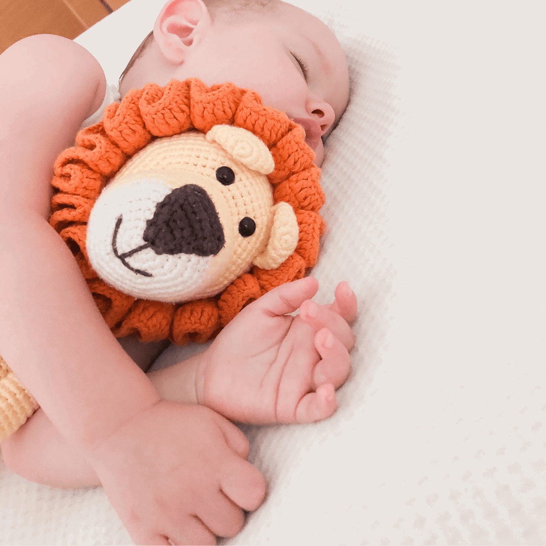 Leo the lion - bebemoss.com - Flyclothing LLC