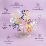 Limitless Possibilities - Feng Shui Chakra Tree - Conscious Items - Flyclothing LLC