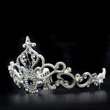 LO2110 - Imitation Rhodium Brass Tiaras & Hair Clip with Top Grade Crystal in Montana - Alamode - Flyclothing LLC