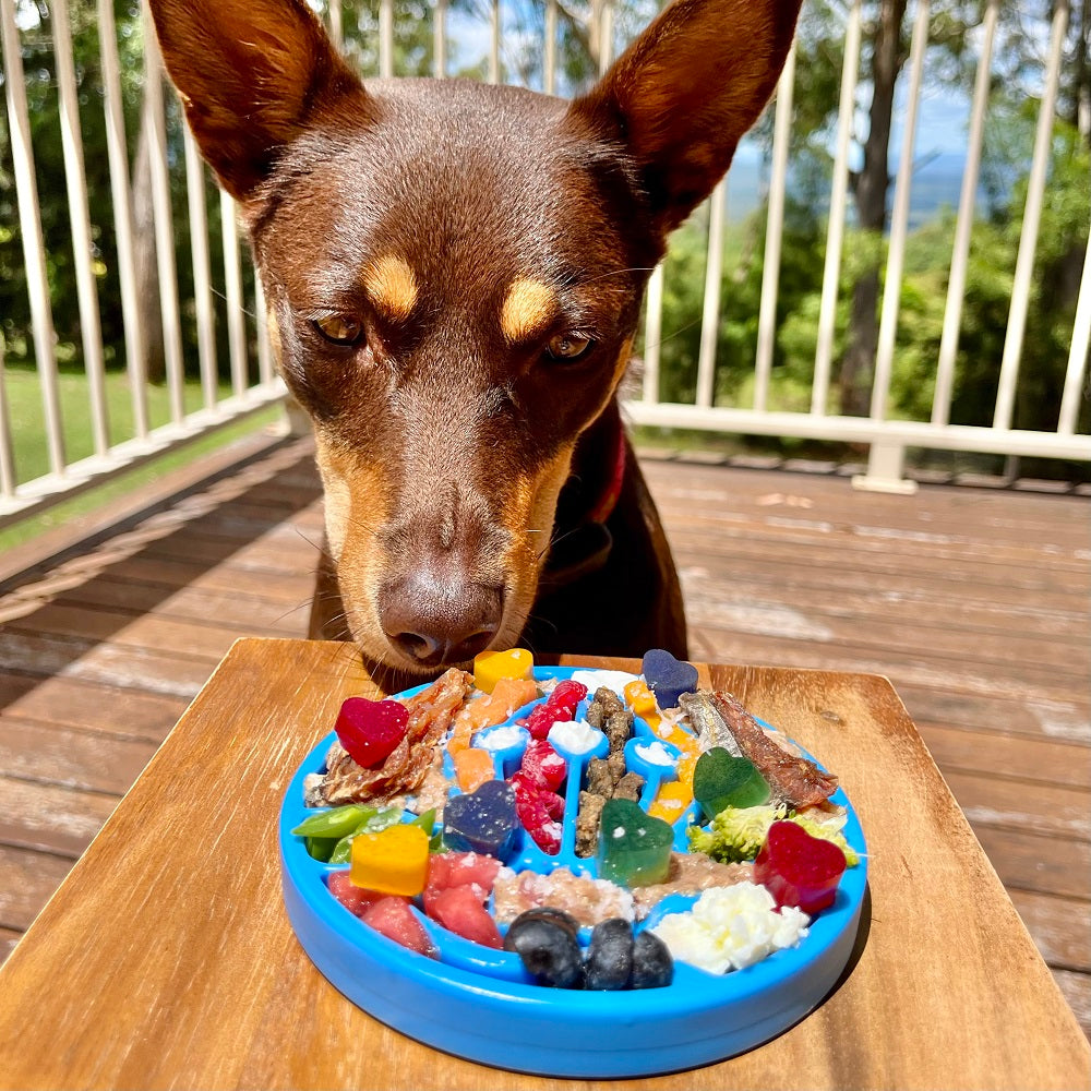 Air Nylon eCoin Lick Mat for Dogs - Durable Enrichment Toy | SodaPup - SodaPup/True Dogs, LLC - Flyclothing LLC
