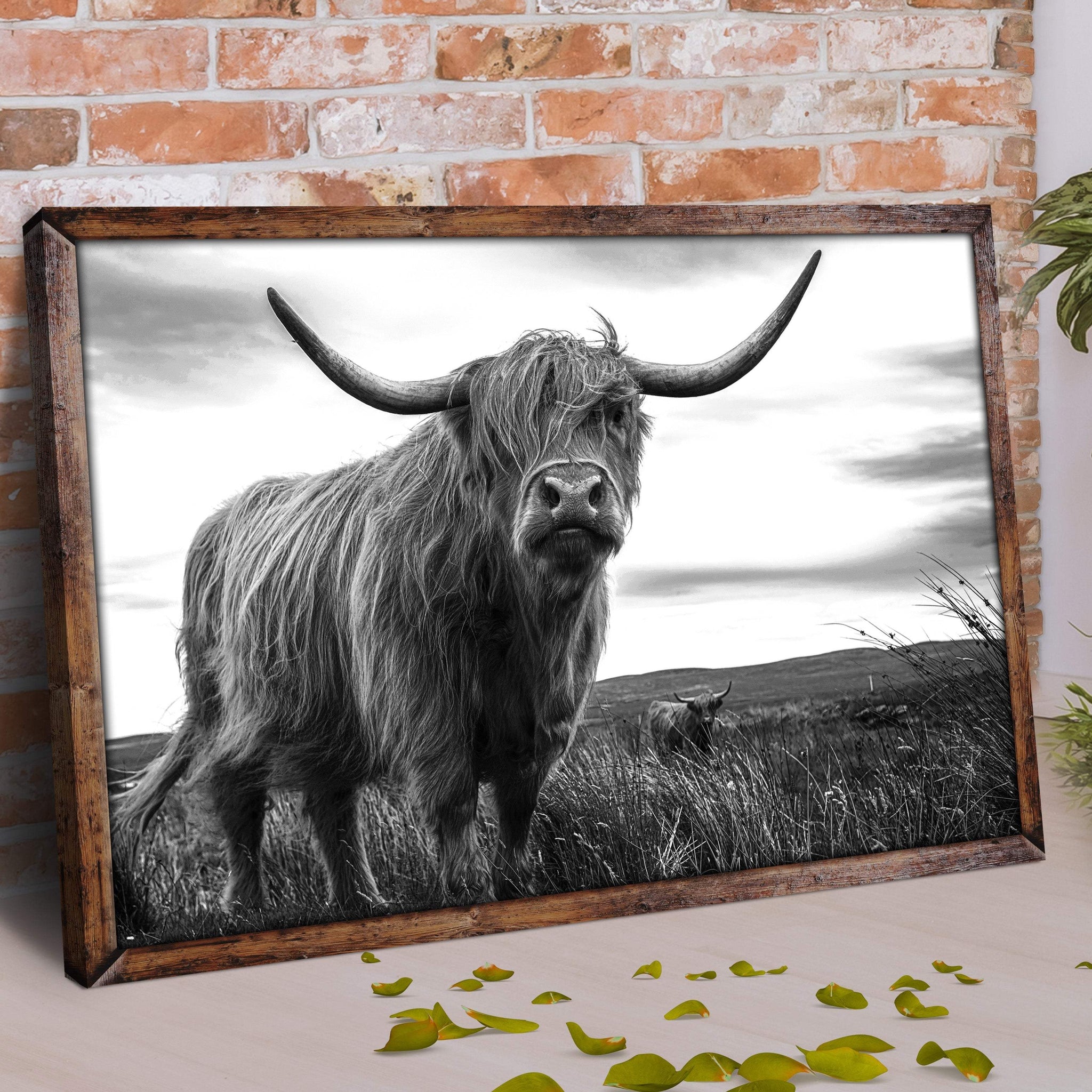Highland Cow Black And White Portrait Canvas Wall Art - Tailored Canvases - Flyclothing LLC