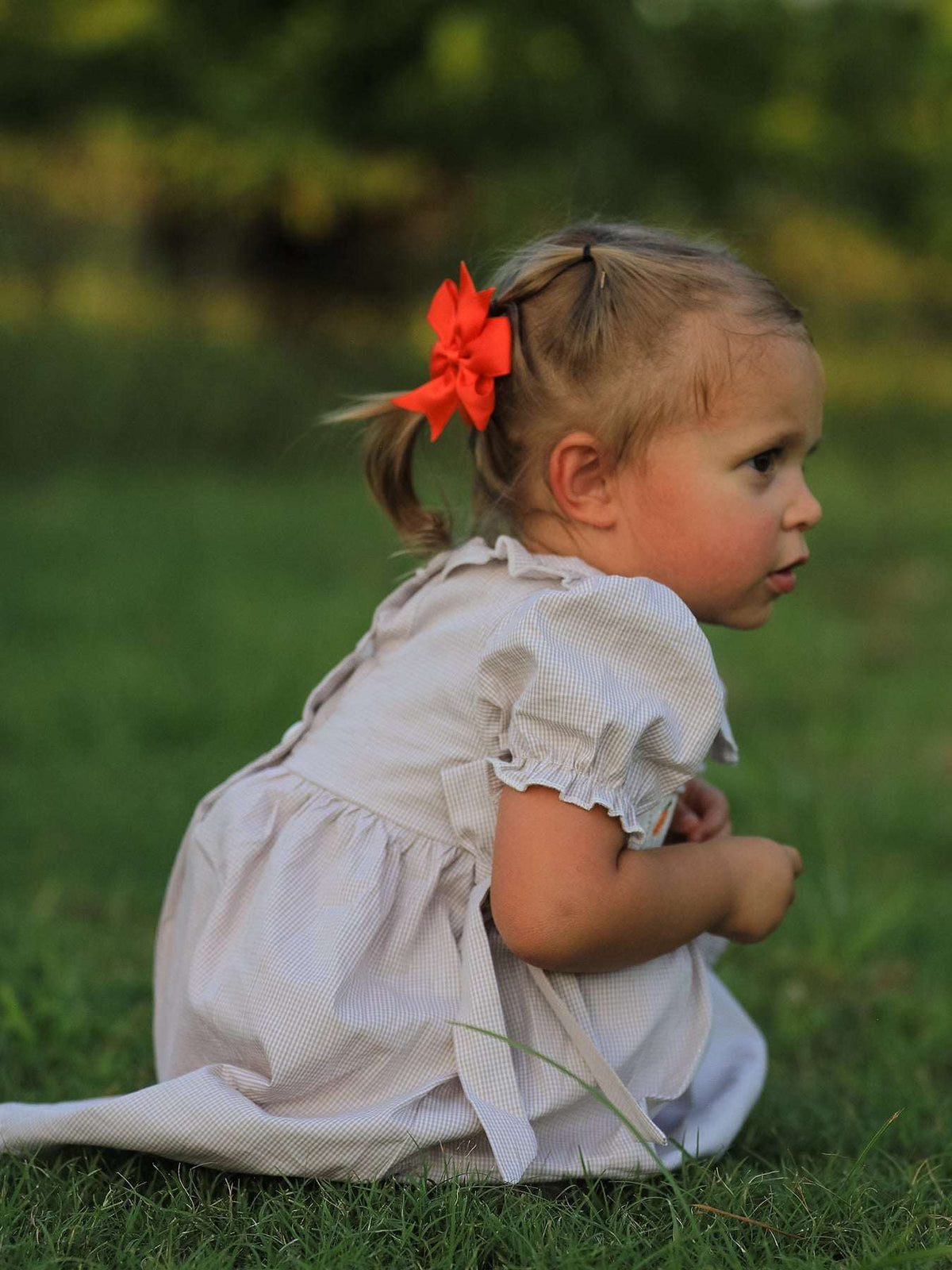 Fall Thanksgiving Pumpkin Embroidery Smock Plaid Girls Dress