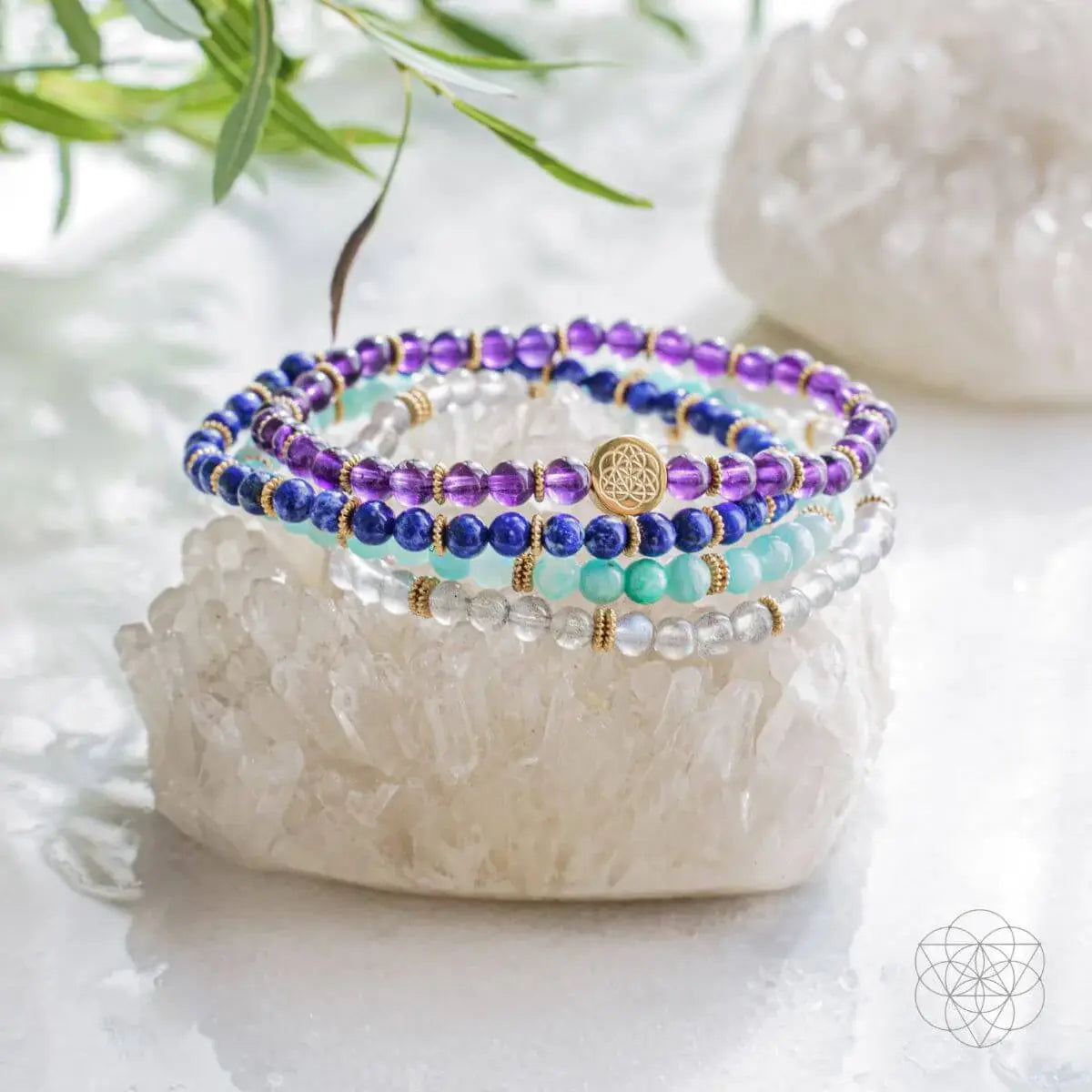 Manifestation Magnet Pack of 4 - Conscious Items - Flyclothing LLC