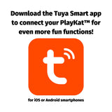 HuggleKats® PlayKat® Interactive Cat Toy - HuggleHounds - Flyclothing LLC