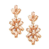 Marquise Glass Crystal Oval Cluster Vine Evening Earrings - Madeline Love - Flyclothing LLC