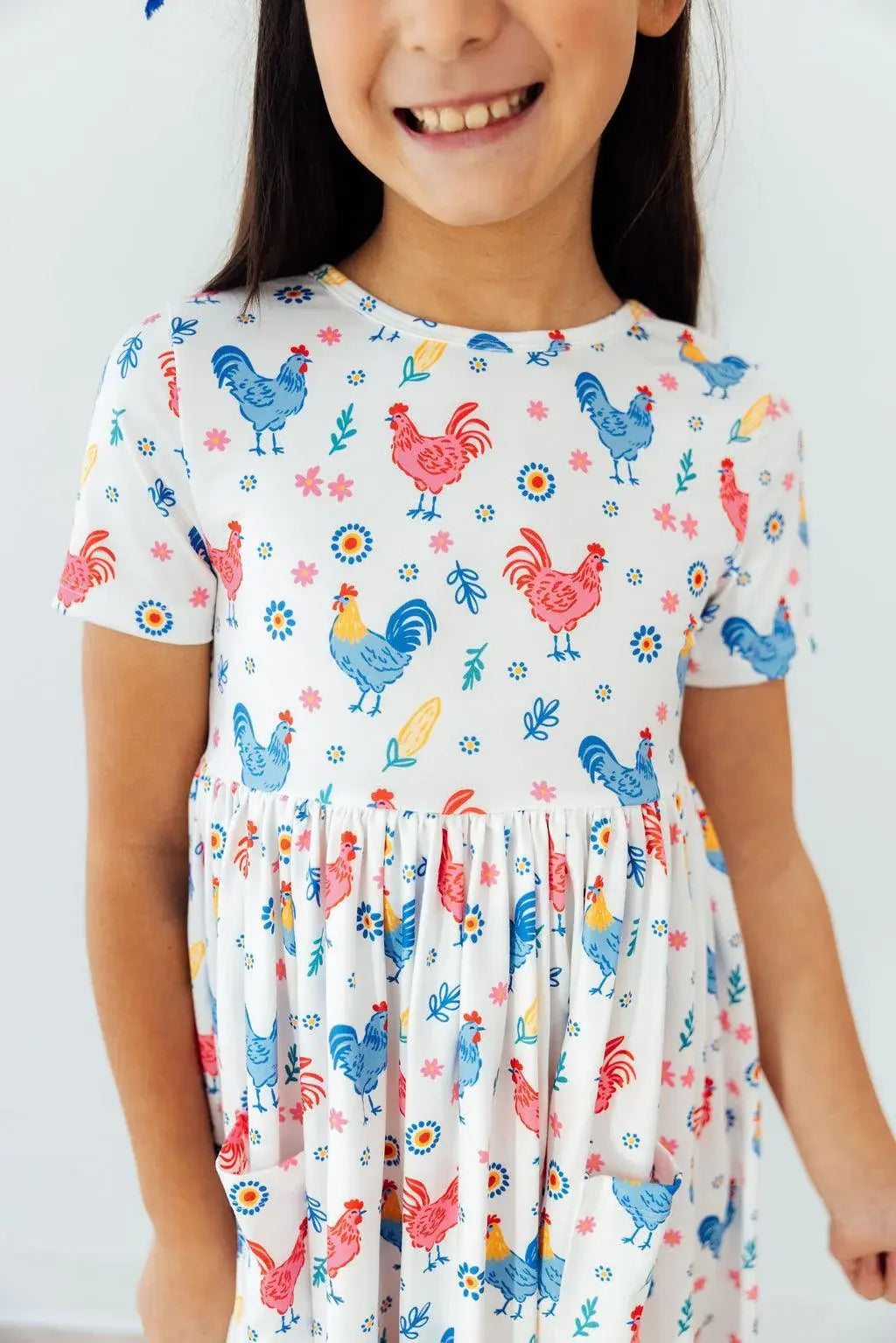 Rainbow Roosters S/S Pocket Twirl Dress - Mila & Rose ® - Flyclothing LLC