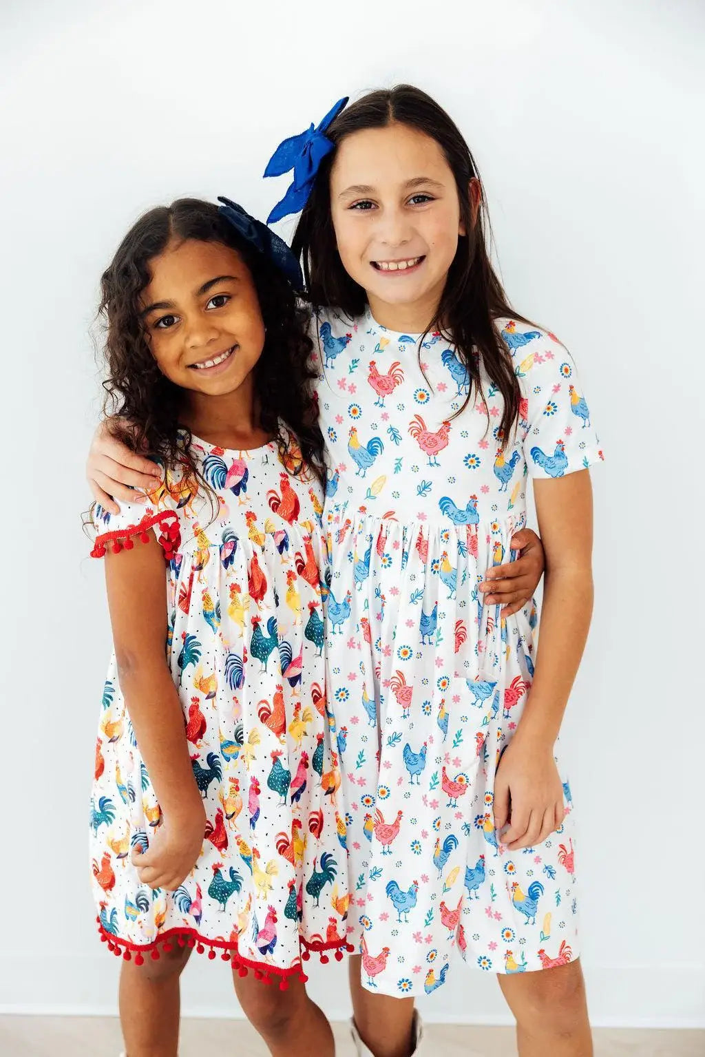 Rainbow Roosters S/S Pocket Twirl Dress - Mila & Rose ® - Flyclothing LLC