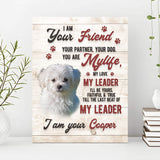 Pet Memorial Sign I Am Your Friend - Tailored Canvases - Flyclothing LLC