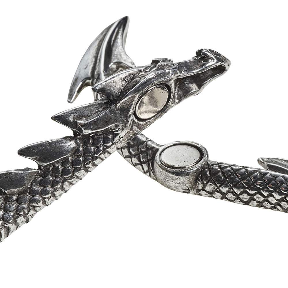 Dragon's Lure Necklace - Alchemy of England - Flyclothing LLC