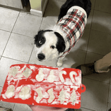 Pet Treat Molds - Farm To Pet - Flyclothing LLC