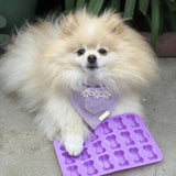 Pet Treat Molds - Farm To Pet - Flyclothing LLC