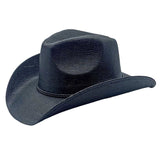 Peter Grimm Black Nico Hat