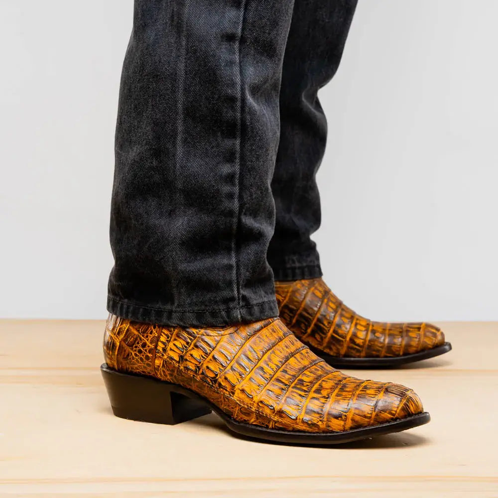 Phoenix Mustard Brown - Marco Di Milano - Flyclothing LLC