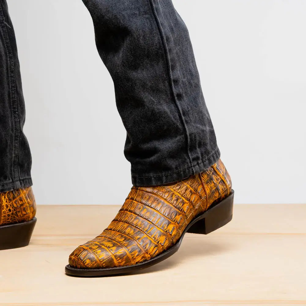 Phoenix Mustard Brown - Marco Di Milano - Flyclothing LLC