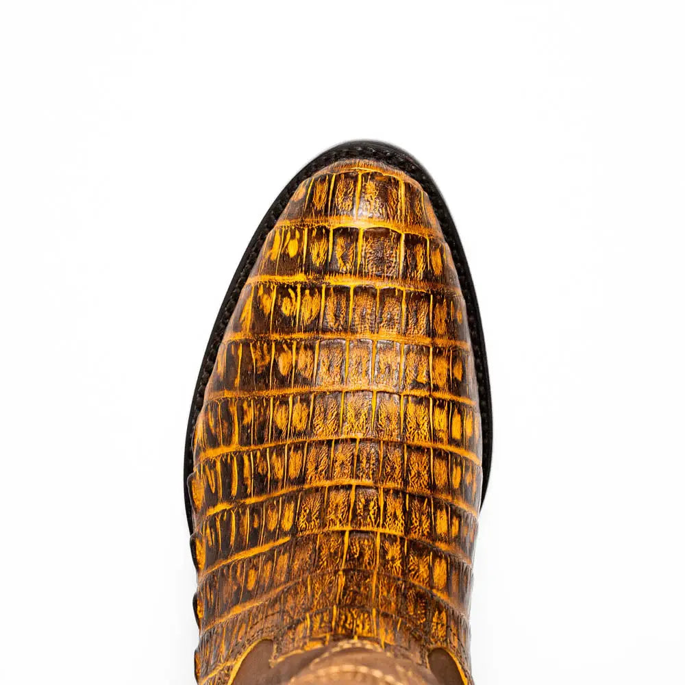 Phoenix Mustard Brown - Marco Di Milano - Flyclothing LLC