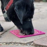 Jigsaw Puzzle eMat - Enrichment Lick Mat for Dogs and Cats | eMat Enrichment Toy for Anxiety Relief | USA Made - SodaPup/True Dogs, LLC - Flyclothing LLC