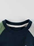 Arrival Autumn Boys Long Sleeves Dinosaur Print Pullover and Versatile Pants – Matching Set - MyKids-USA™