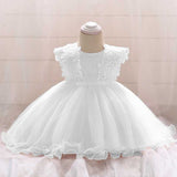 Baby Girl Floral Patched Graphic Mesh Tutu Dress Birthday Baptism Dress - MyKids-USA™