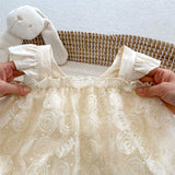Summer Baby Girls Solid Color Rose Embroidery Lace Mesh Sleeveless Princess Onesie Dress