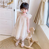 Summer Hot Selling Baby Kids Girls Fly Sleeves Lace Embroidery Design Princess Floral Tulle Dress